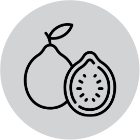 Fruit Serrated Knife